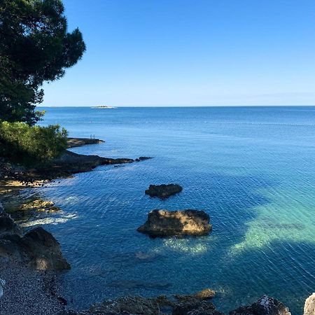 App Fiorela Poreč Eksteriør billede